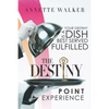 The Destiny Point Experience - Paperback