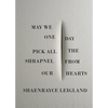 May We One Day Pick All the Shrapnel From Our Hearts - Paperback