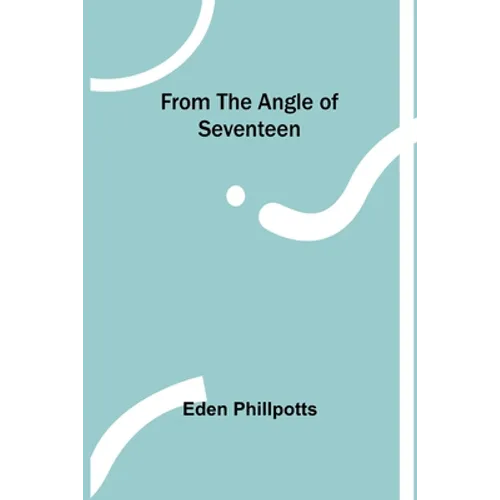 From the Angle of Seventeen - Paperback