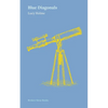 Blue Diagonals - Paperback