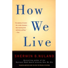 How We Live - Paperback