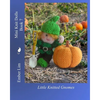 Mini Knit Dolls Book 7: Little Knitted Gnomes - Paperback