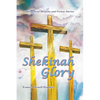 Shekinah Glory: Supernatural Miracles and Visions Stories - Paperback