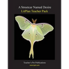 Litplan Teacher Pack: A Streetcar Named Desire - Paperback