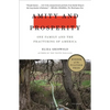 Amity and Prosperity: One Family and the Fracturing of America - Paperback