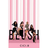 Blush - Paperback
