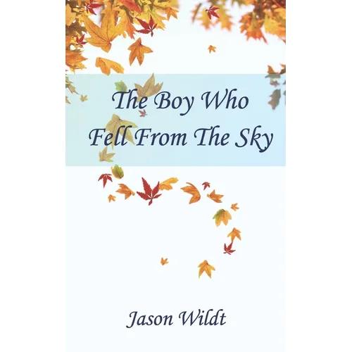 The Boy Who Fell From the Sky - Paperback