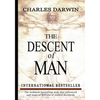 The Descent Of Man - Paperback
