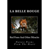 Red Foxes And Other Miracles: Nature Poems From The Heart - Paperback