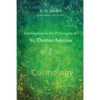 Introduction to the Philosophy of St. Thomas Aquinas, Volume 2 - Paperback