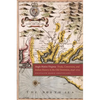 Anglo-Native Virginia: Trade, Conversion, and Indian Slavery in the Old Dominion, 1646-1722 - Hardcover