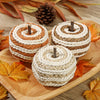 Hollyone Fall Pumpkin Decor 3 PCS Faux Rattan Pumpkins Small Orange Brown