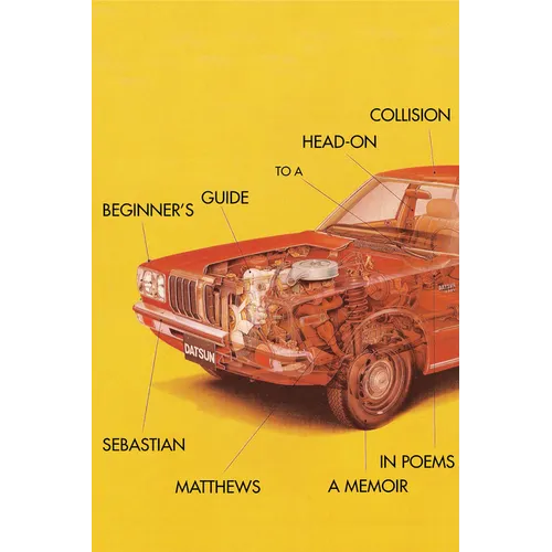 Beginner's Guide to a Head-On Collision - Paperback