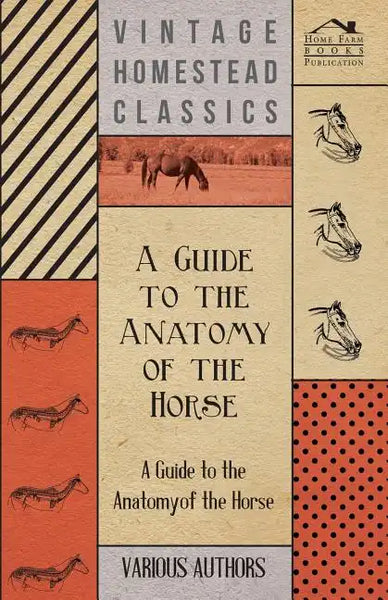 A Guide to the Anatomy of the Horse - A Collection of Historical Articles on the Skeleton, Hoof, Teeth, Locomotion and Other Aspects of Equine Anato - Paperback