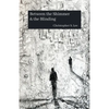 Between the Shimmer & the Blinding - Paperback