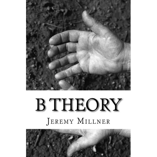 B Theory - Paperback
