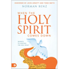 When the Holy Spirit Comes Down: Secrets to Hosting the Holy Spirit - Paperback