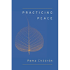 Practicing Peace - Paperback