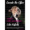 Execute the Office: Essays with Presidents - Paperback