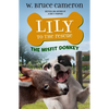 Lily to the Rescue: The Misfit Donkey - Paperback