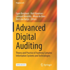 Advanced Digital Auditing: Theory and Practice of Auditing Complex Information Systems and Technologies - Hardcover