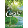 Next Stop, Chancey - Paperback