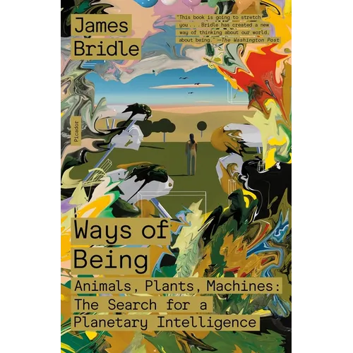 Ways of Being: Animals, Plants, Machines: The Search for a Planetary Intelligence - Paperback