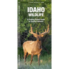 Idaho Wildlife: A Folding Pocket Guide to Familiar Animals - Paperback