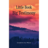 Little Book, Big Testimony: How Vulnerability led to Victory - Paperback