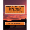 Orbs - The Living Skies above My Garden: An Illustrated Book of Orbs - Paperback