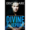 Divine Blueprint: What the World Calls Coincidence God Calls Providence - Paperback