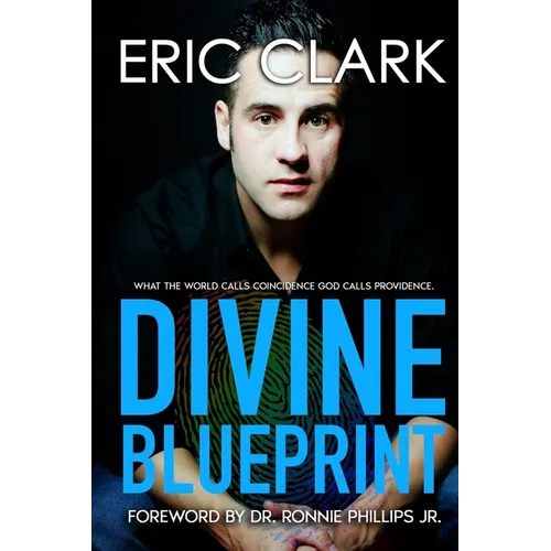 Divine Blueprint: What the World Calls Coincidence God Calls Providence - Paperback