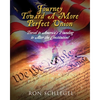 Journey Toward A More Perfect Union: Travel to America's Founding to Alter the Constitution! - Paperback