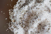 Black Truffle 10% Truffle Salt