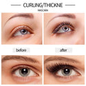 Liquid Eyeliner Pencil+4D Waterproof Mascara Set
