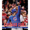 The Chicago Tribune Book of the Chicago Cubs: A Decade-By-Decade History - Hardcover