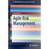 Agile Risk Management - Paperback