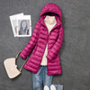 Casual Hooded Down Coats