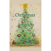 Christmas In America - Paperback
