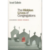 Hidden Lives of Congregations: Discerning Church Dynamics - Paperback