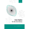 Linear Algebra for the 21st Century - Paperback
