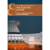 The Cambridge Companion to the Electric Guitar - Paperback