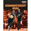Connecticut Sun - Library Binding