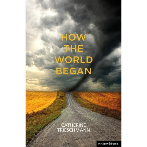 How the World Began - Paperback