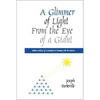A Glimmer of Light from the Eye of a Giant: Tabular Evidence of a Monument in Harmony with the Universe - Paperback