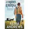 A Forbidden Rumspringa - Paperback