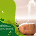 Essential Oils for Humidifier Aroma