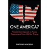 One America?: Presidential Appeals to Racial Resentment from LBJ to Trump - Paperback
