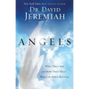Angels: Who They Are and How They Help...What the Bible Reveals - Paperback