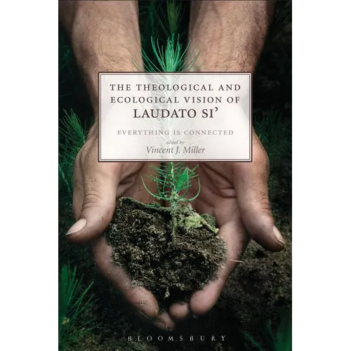 The Theological and Ecological Vision of Laudato Si': Everything Is Connected - Paperback